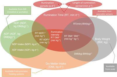 Effects of extrinsic factors on some rumination patterns: A review
